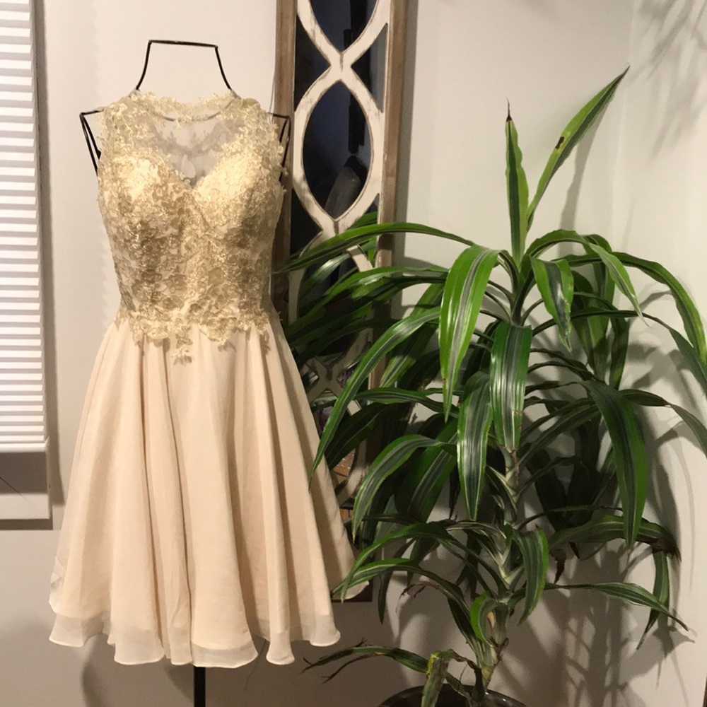 Faviana Sheer Lace Overlay Gold Trim Dress